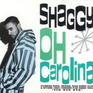 Shaggy